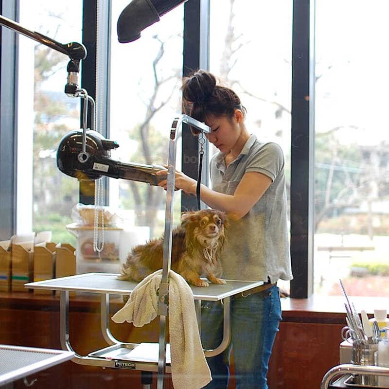 japanese_craft_construction, Wikimedia Commons (CC BY 2.0) Peluquería canina
